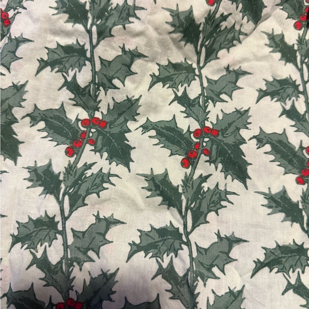 NWT Kate Quinn Holly Berry Dress - Picture 4 of 4